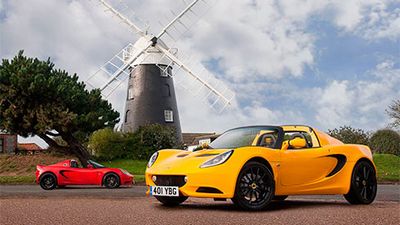 lotus lotus