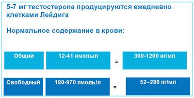 тестостерона тестостерона