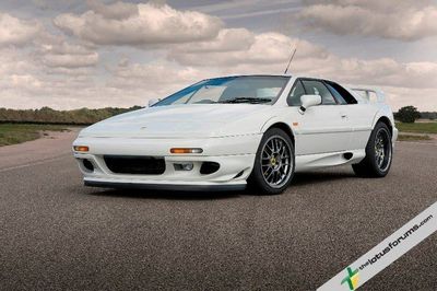 lotus lotus
