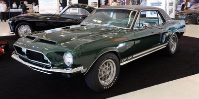 shelby shelby